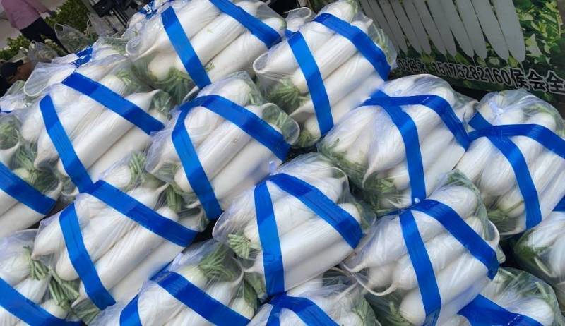 河北一级精品白萝卜，河北A级精品白萝卜，河北精品白萝卜