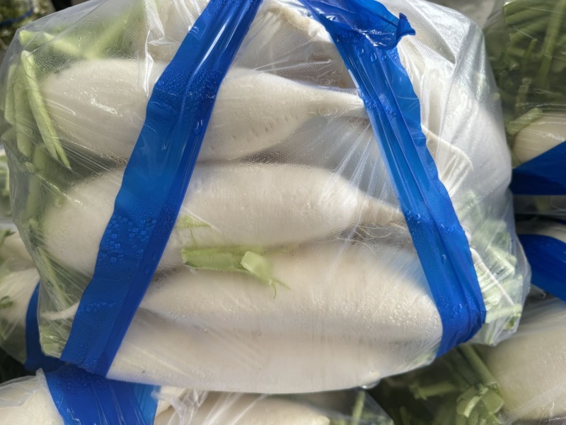 河北一级精品白萝卜，河北A级精品白萝卜，河北精品白萝卜