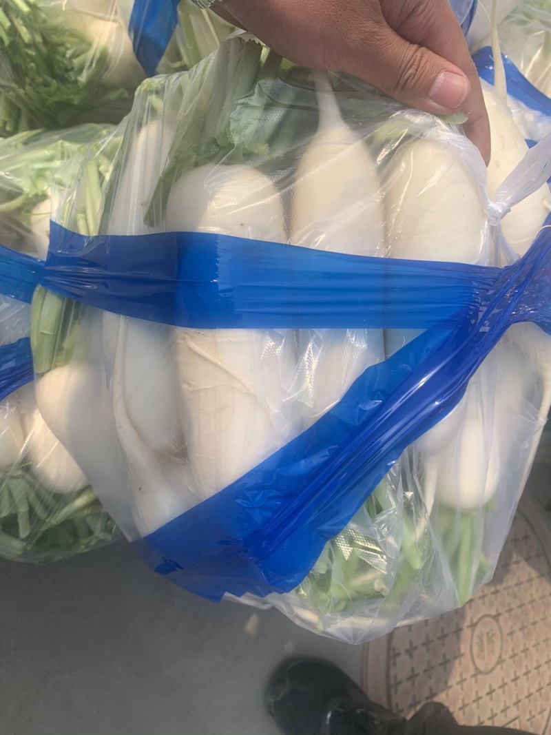 河北一级精品白萝卜，河北A级精品白萝卜，河北精品白萝卜