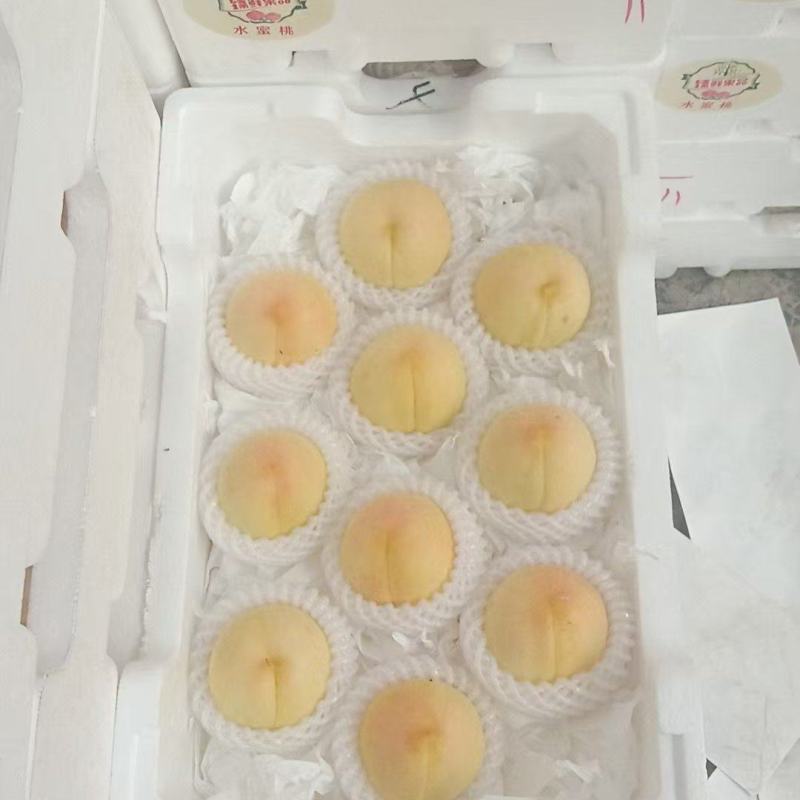 精品水蜜桃油桃黄桃大量供货保质保量欢迎产地考场洽谈合作