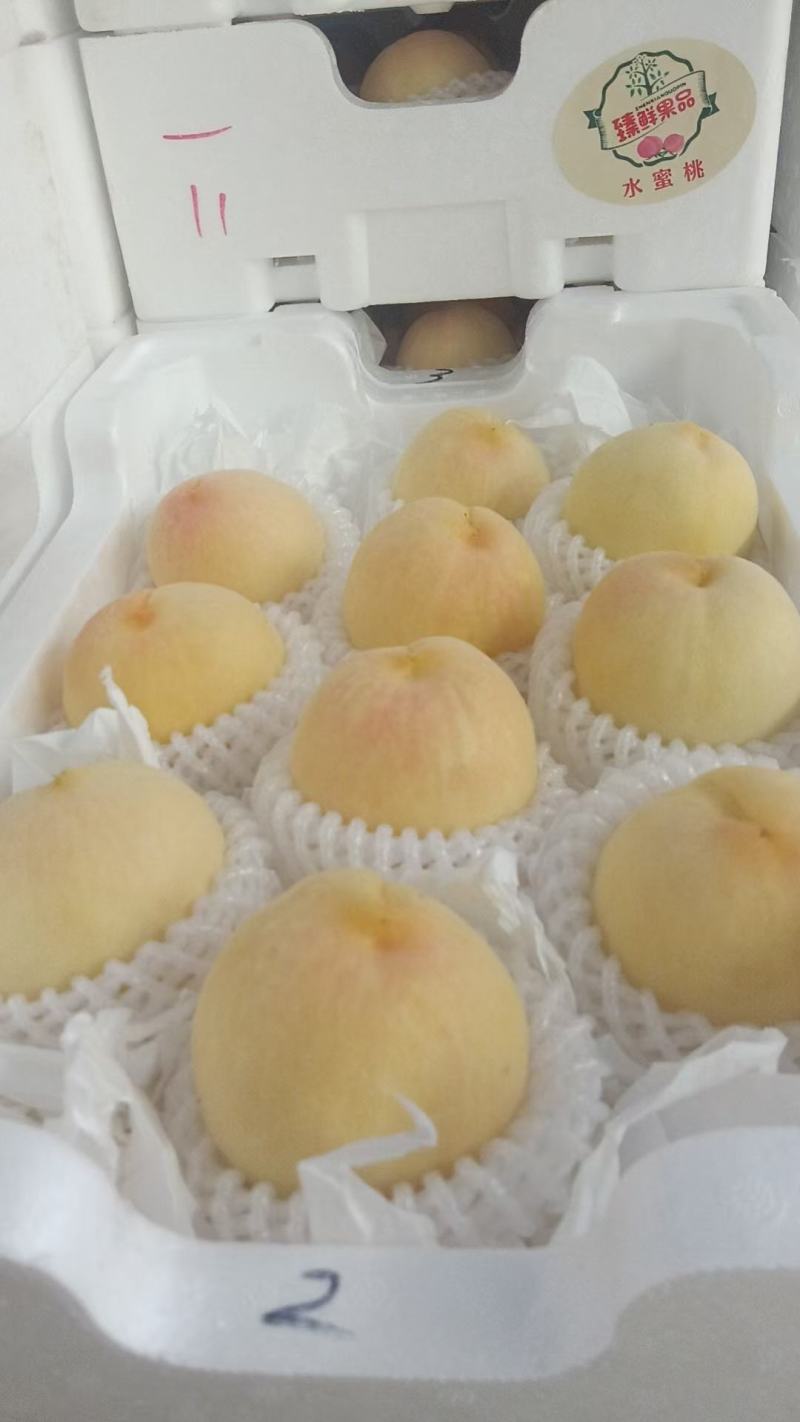 精品水蜜桃油桃黄桃大量供货保质保量欢迎产地考场洽谈合作