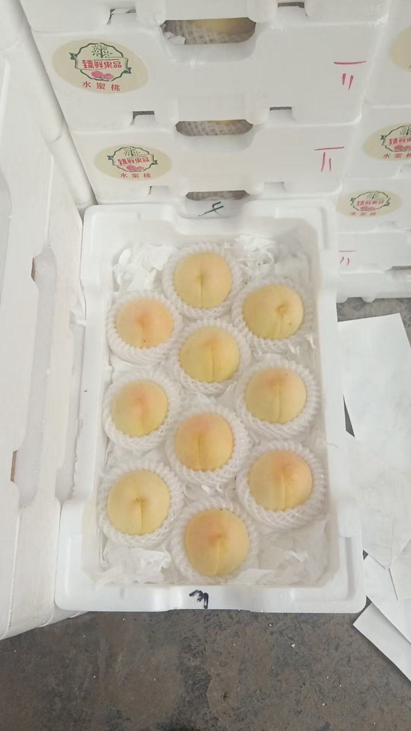 精品水蜜桃油桃黄桃大量供货保质保量欢迎产地考场洽谈合作