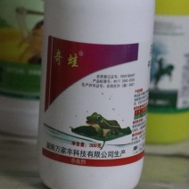 呋虫胺杀虫剂水稻专用稻飞虱白粉虱蚜虫果树蔬菜花卉卫生用药