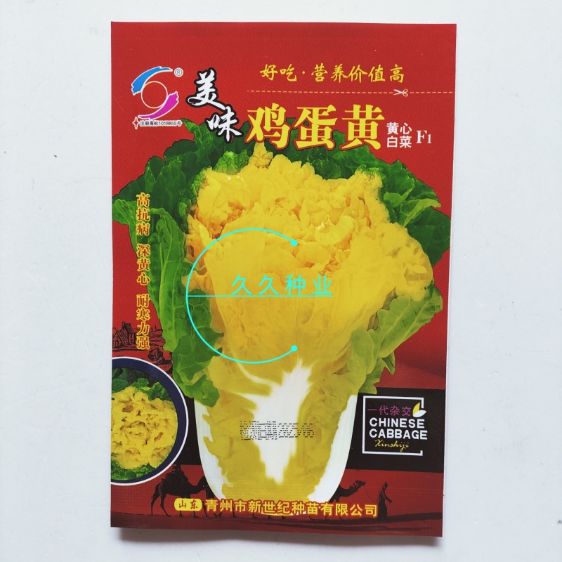 美味鸡蛋黄大白菜种子黄心四季快菜好吃抗病高产蔬菜种籽
