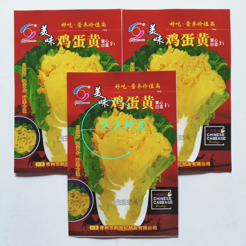 美味鸡蛋黄大白菜种子黄心四季快菜好吃抗病高产蔬菜种籽