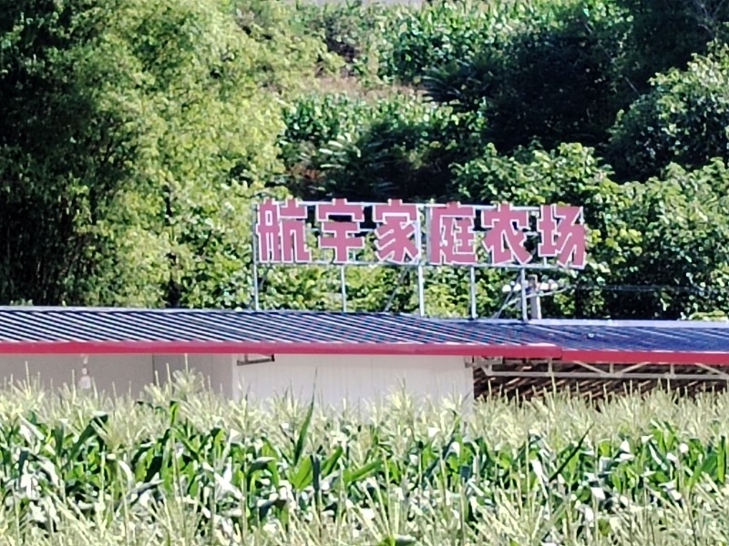 精品涪城麦冬三台麦冬对接药企药材商和电商一手无琉货源