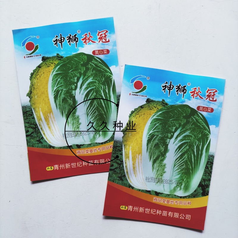 神狮秋冠黄心大白菜种子口感好优质高产抗三大病害基地大田