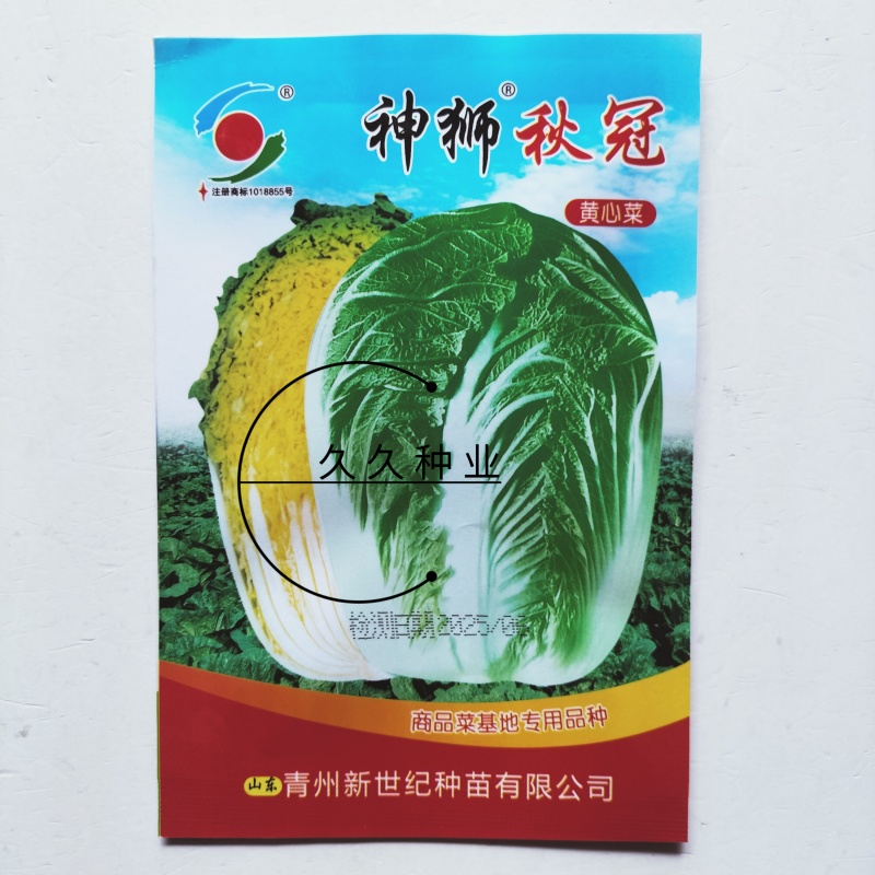 神狮秋冠黄心大白菜种子口感好优质高产抗三大病害基地大田