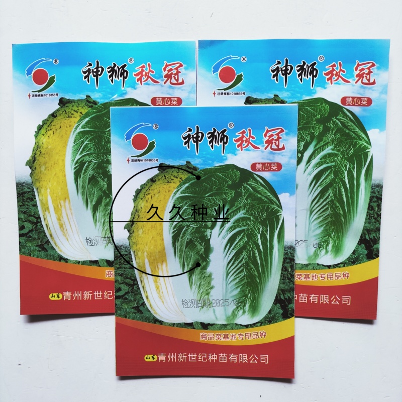 神狮秋冠黄心大白菜种子口感好优质高产抗三大病害基地大田