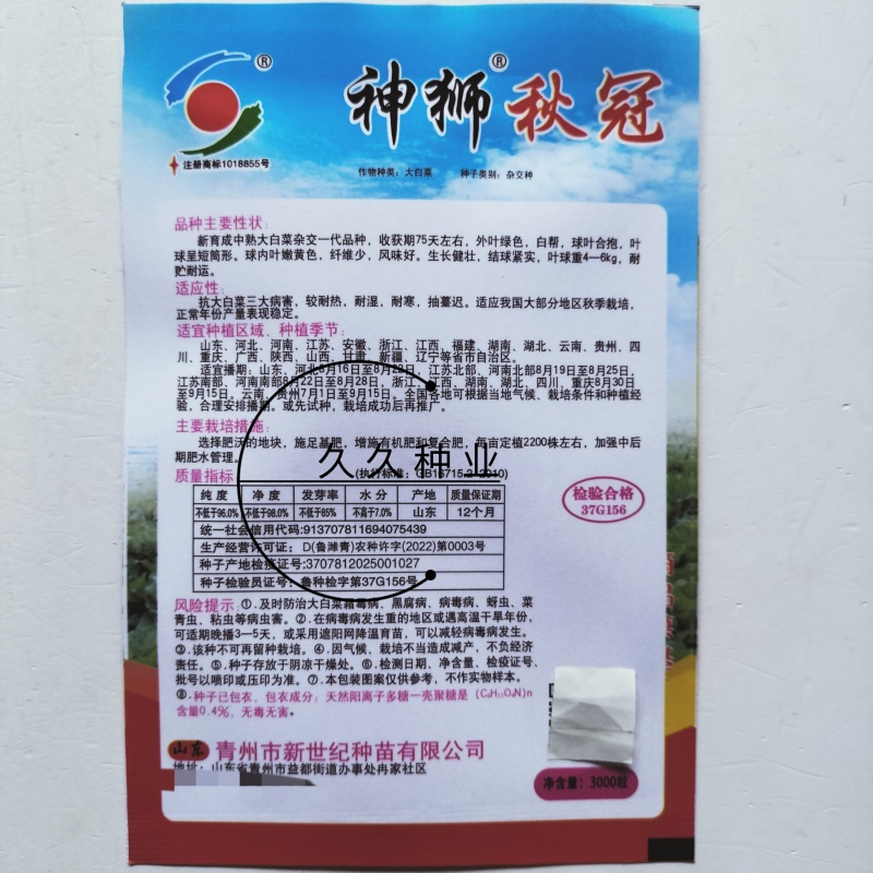 神狮秋冠黄心大白菜种子口感好优质高产抗三大病害基地大田