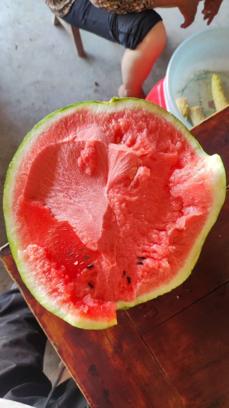 美都西瓜大量供应