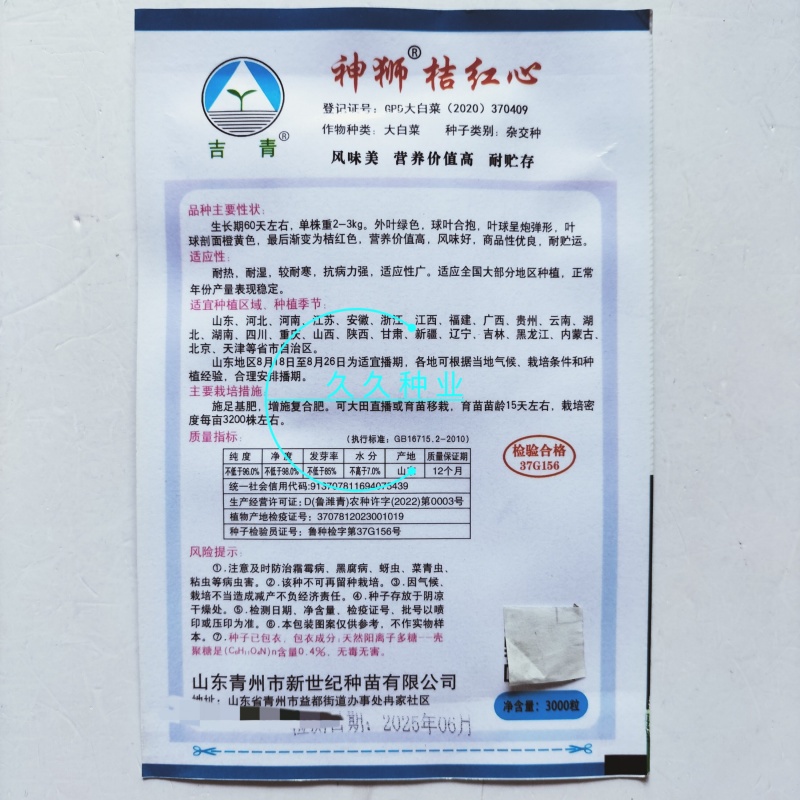 神狮桔红心黄心大白菜种子口感好优质高产抗三大病害