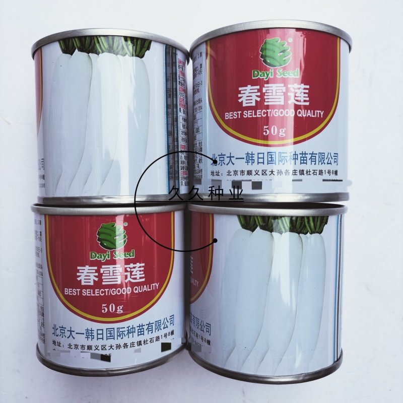 春雪莲白萝卜种子韩国高产春秋不糠心耐寒白萝卜春秋季耐抽苔
