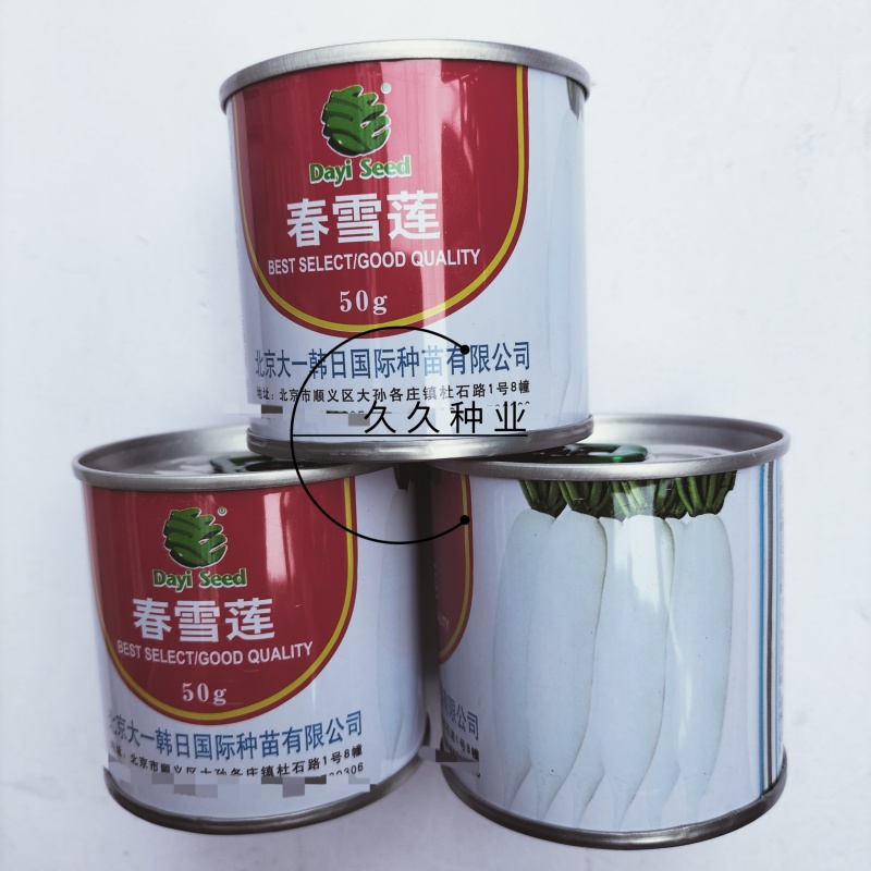 春雪莲白萝卜种子韩国高产春秋不糠心耐寒白萝卜春秋季耐抽苔