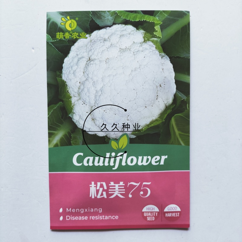 松美75中熟青梗松花菜种子花球松大肉质柔软耐湿耐热抗