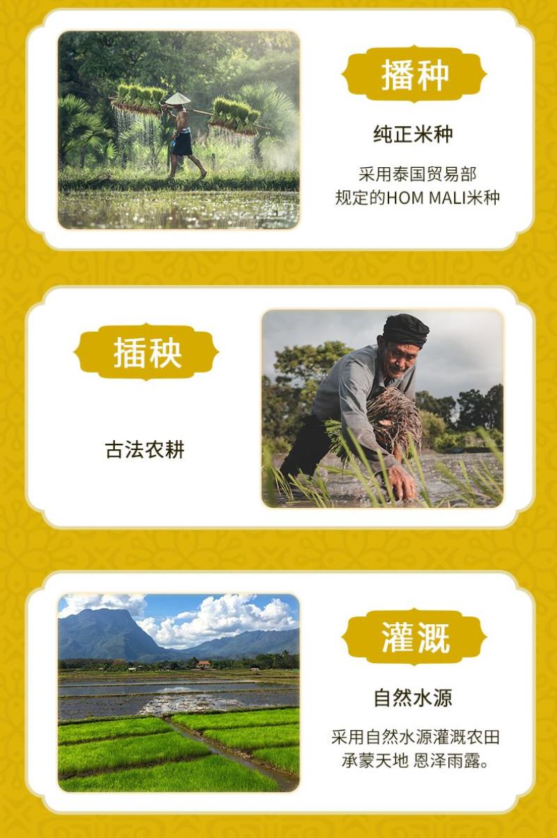 【原装进口】乌汶府泰国茉莉香米10斤真空包装中检溯源