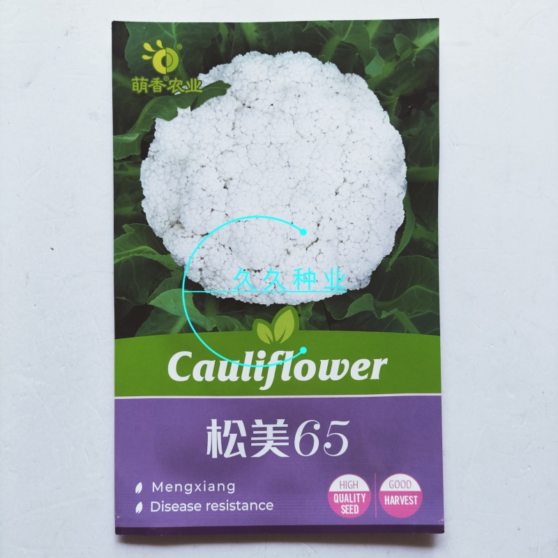 松美65早熟耐热青梗松花菜种子抗病高产口感甜脆半松型