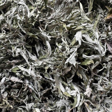 艾草野生正宗艾叶干货批发量大从优