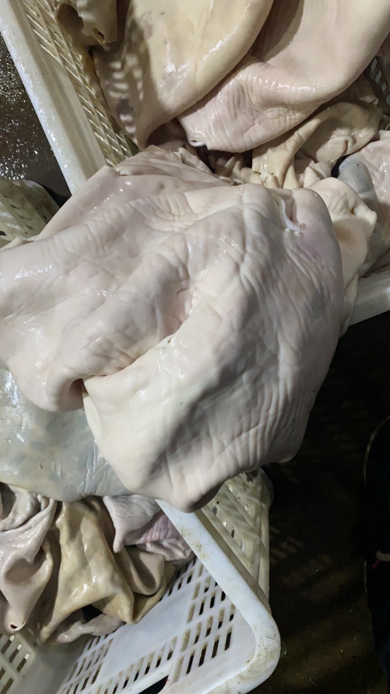 新鲜马皮现宰手工处理现宰热水烫毛生马皮肉酒店食材批发