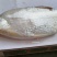 翘嘴鲌