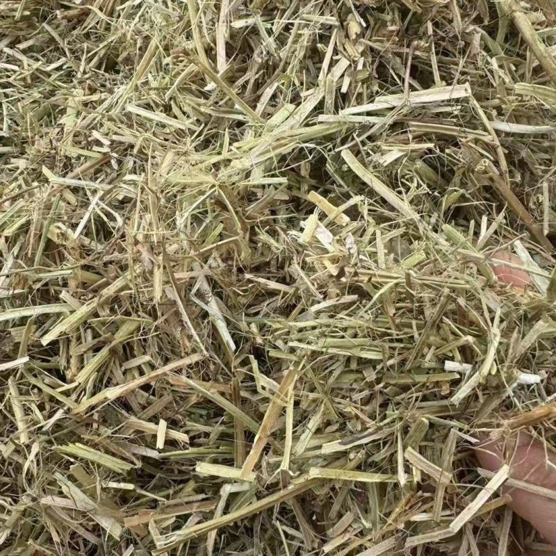 优质花生秧（羊羊羊**口粮）