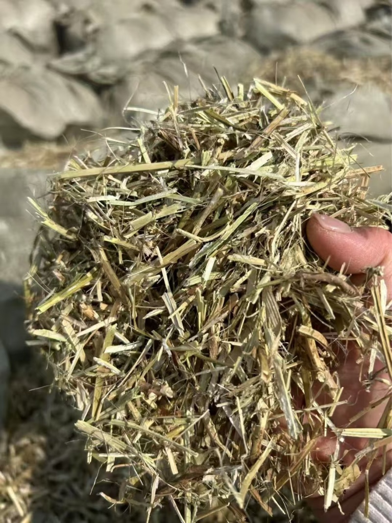 优质花生秧（羊羊羊**口粮）