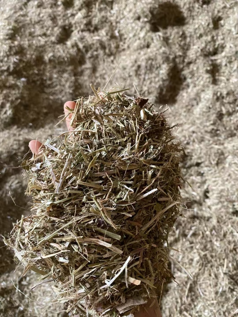优质花生秧（羊羊羊**口粮）