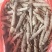 仙茅