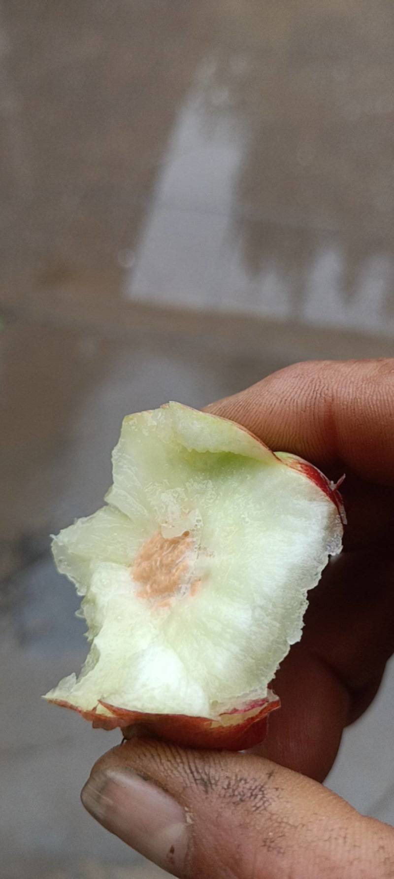 脆甜早油桃
