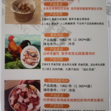无药残公鸡乌鸡宣传页和鸡副产品