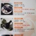 无药残公鸡乌鸡宣传页和鸡副产品