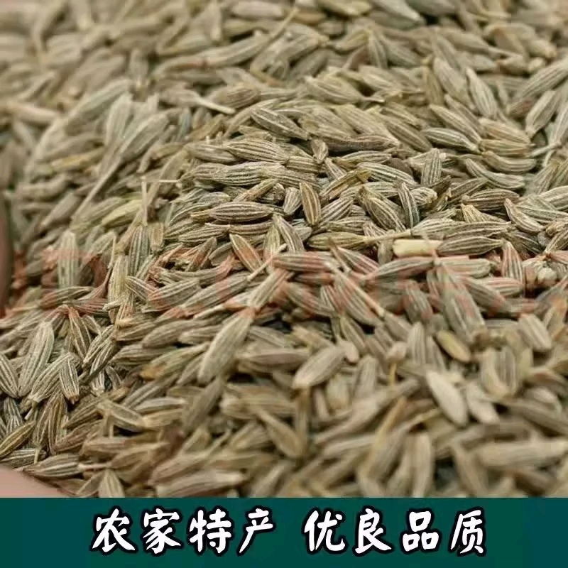 新疆颗粒孜然