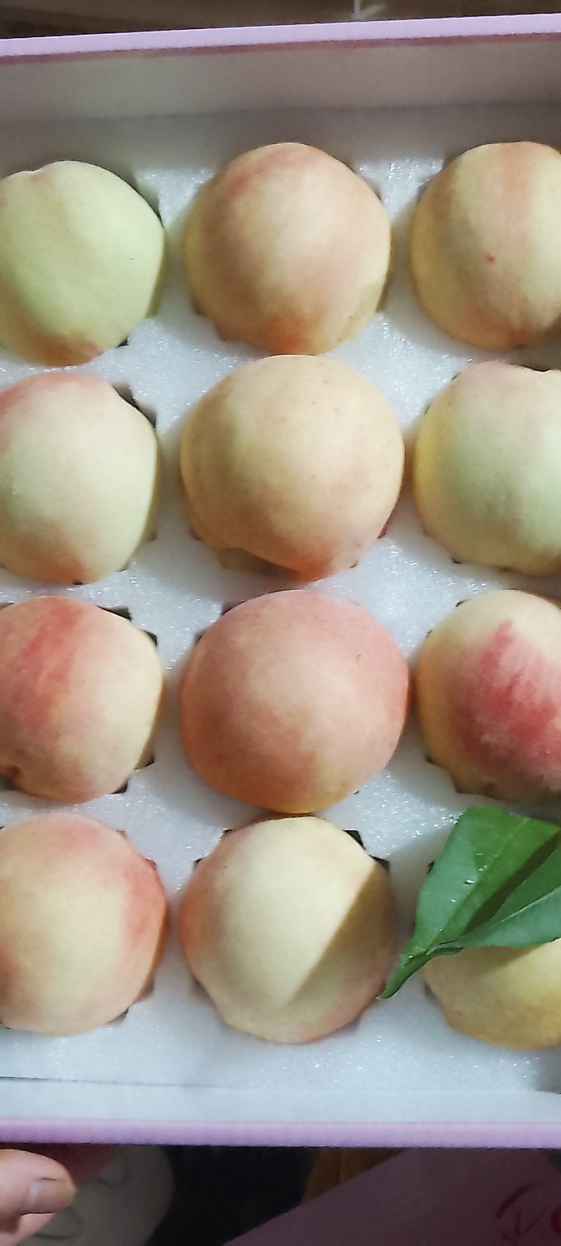 奉化水蜜桃