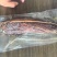 腊二刀肉