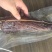 腊二刀肉