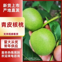 青皮核桃，剥皮核桃，干核桃，产地代办。