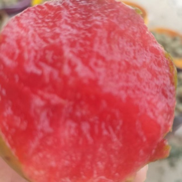 李子\味帝李子\红李子\湖北襄阳味帝李子对接全国采购商