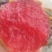 李子\味帝李子\红李子\湖北襄阳味帝李子对接全国采购商