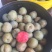 李子\味帝李子\红李子\湖北襄阳味帝李子对接全国采购商