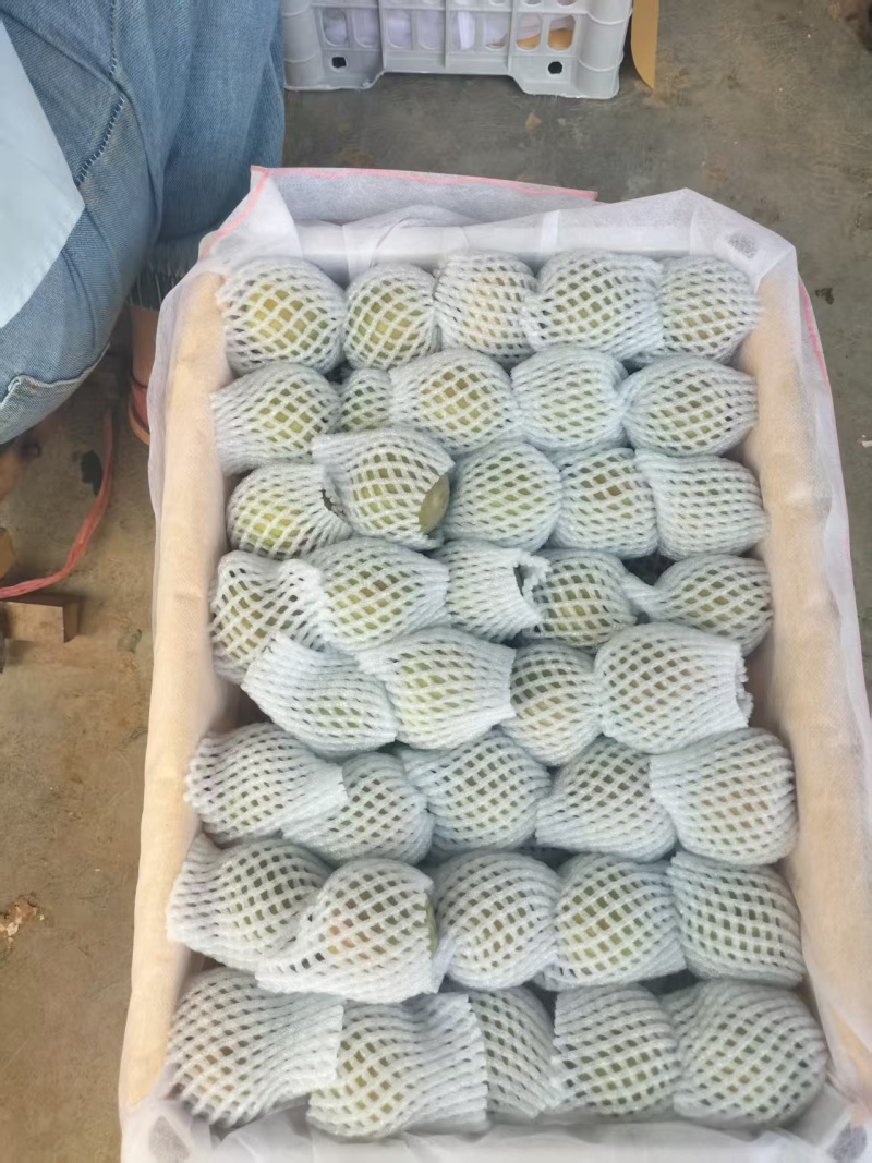 李子\味帝李子\红李子\湖北襄阳味帝李子对接全国采购商