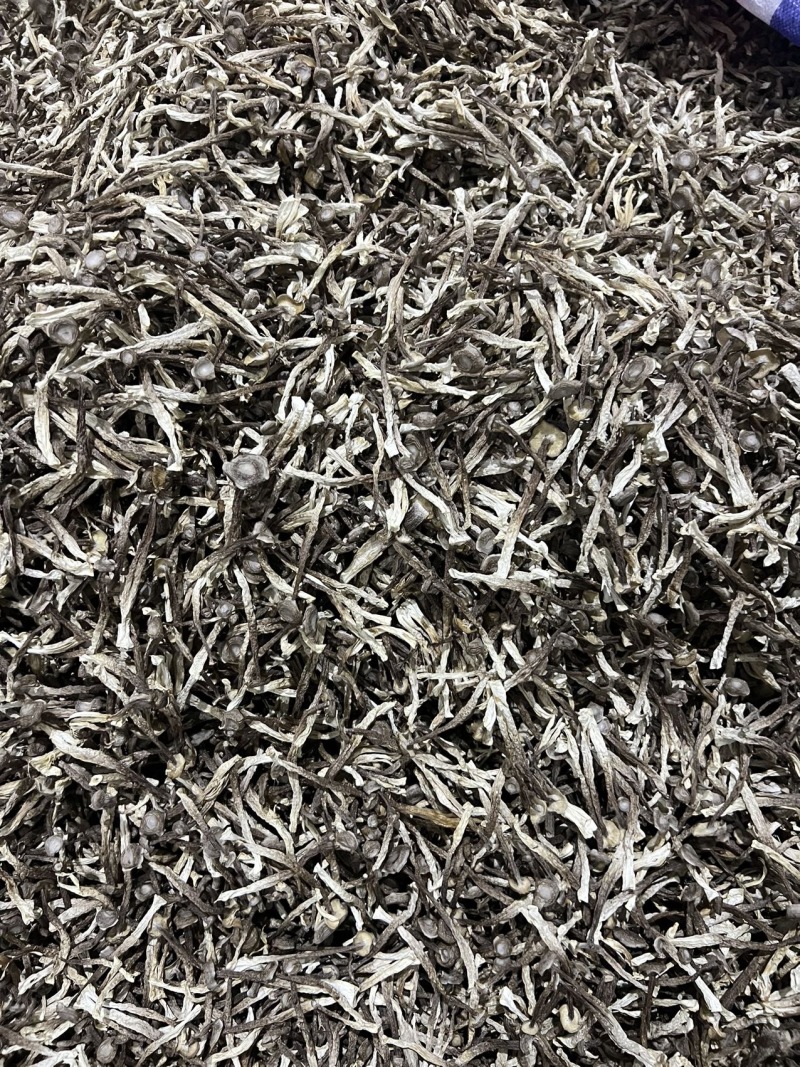 鹿茸菇A级