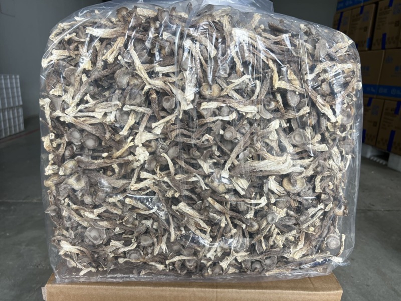鹿茸菇A级