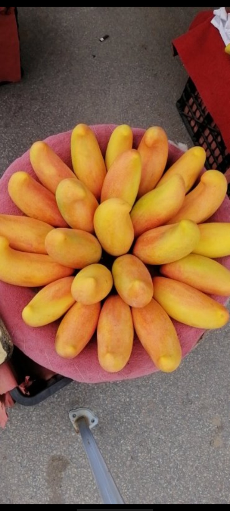 象牙芒果