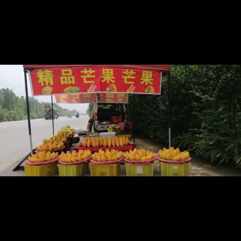 象牙芒果