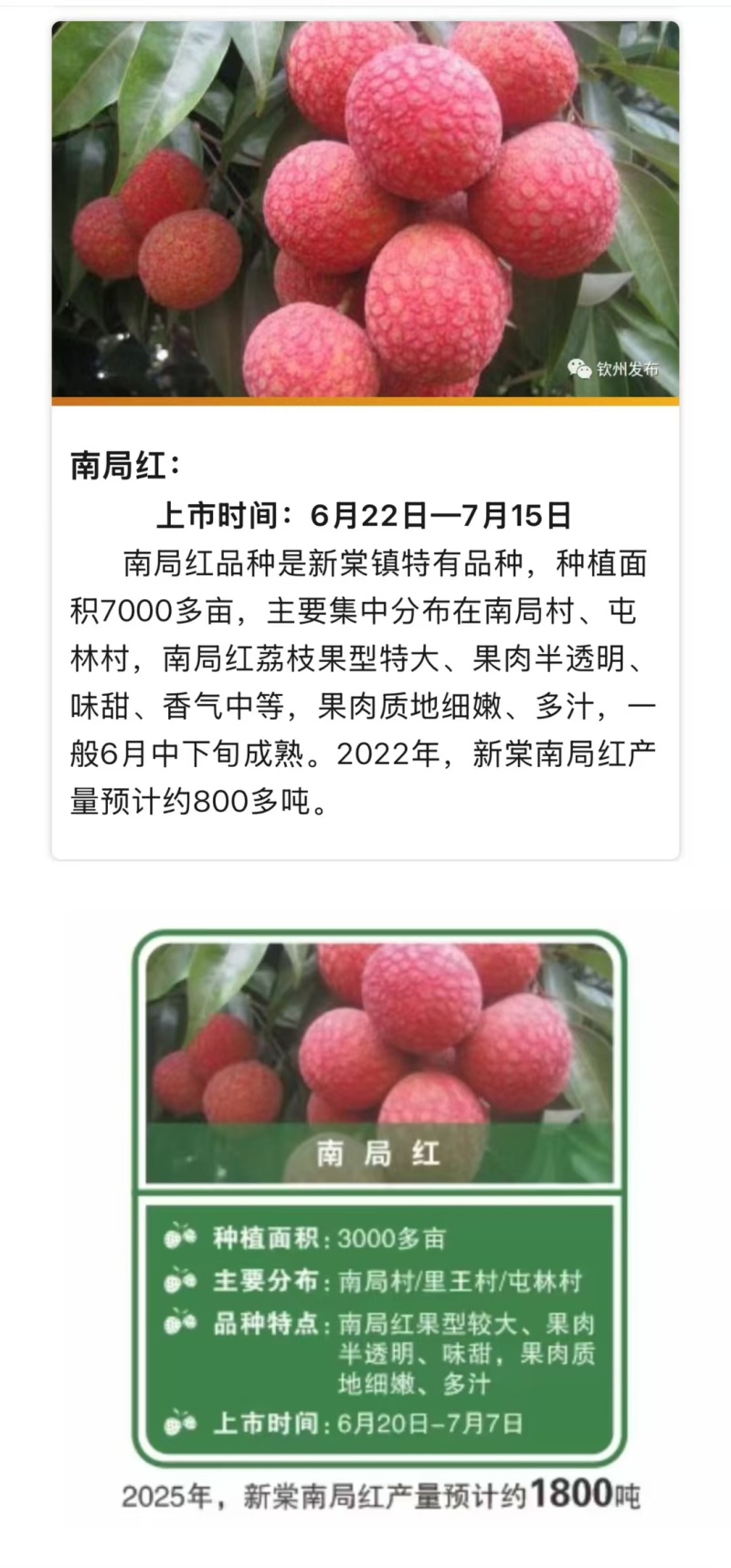 荔枝