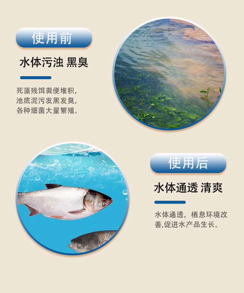 超强底改鱼虾蟹水产养殖专用改底调水净水除臭分解淤泥