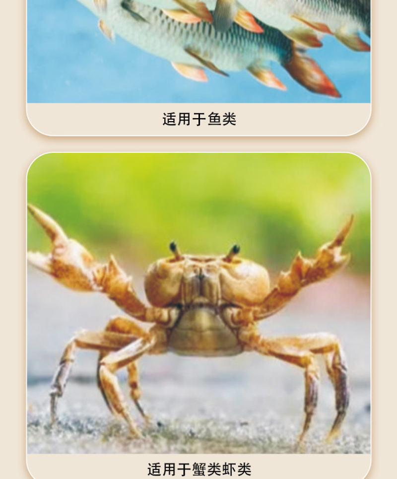 超强底改鱼虾蟹水产养殖专用改底调水净水除臭分解淤泥