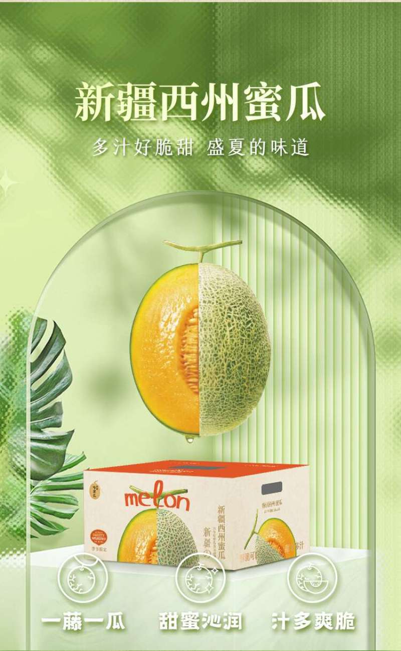 【每日推荐】新疆西州蜜25号，新疆哈密瓜产地直发品质保障