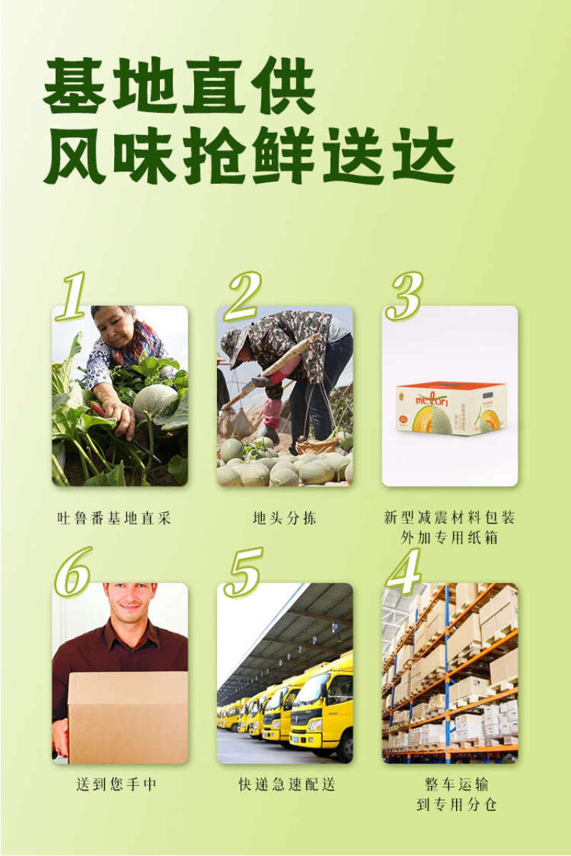 【每日推荐】新疆西州蜜25号，新疆哈密瓜产地直发品质保障