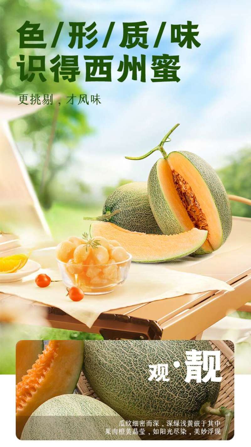 【每日推荐】新疆西州蜜25号，新疆哈密瓜产地直发品质保障
